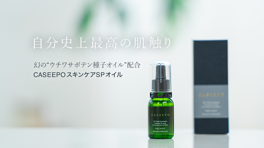 商品の新発売についてのニュースとか