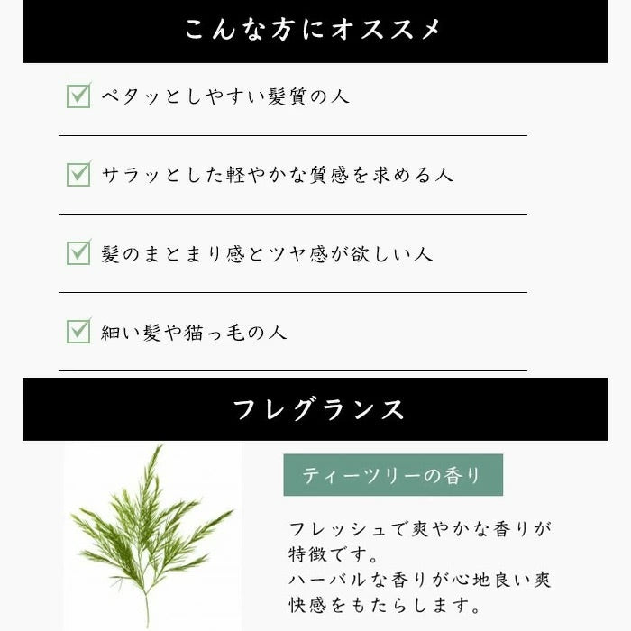 CASEEPO カシーポNオイル（さらっと） - FVC株式会社