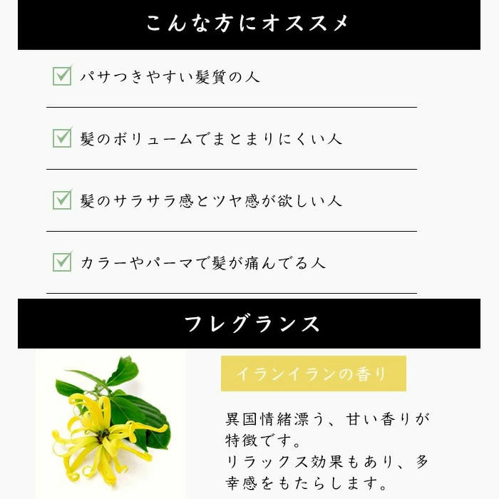 CASEEPO カシーポNオイル（しっとり） - FVC株式会社