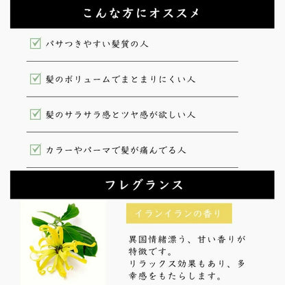 CASEEPO カシーポNオイル（しっとり） - FVC株式会社