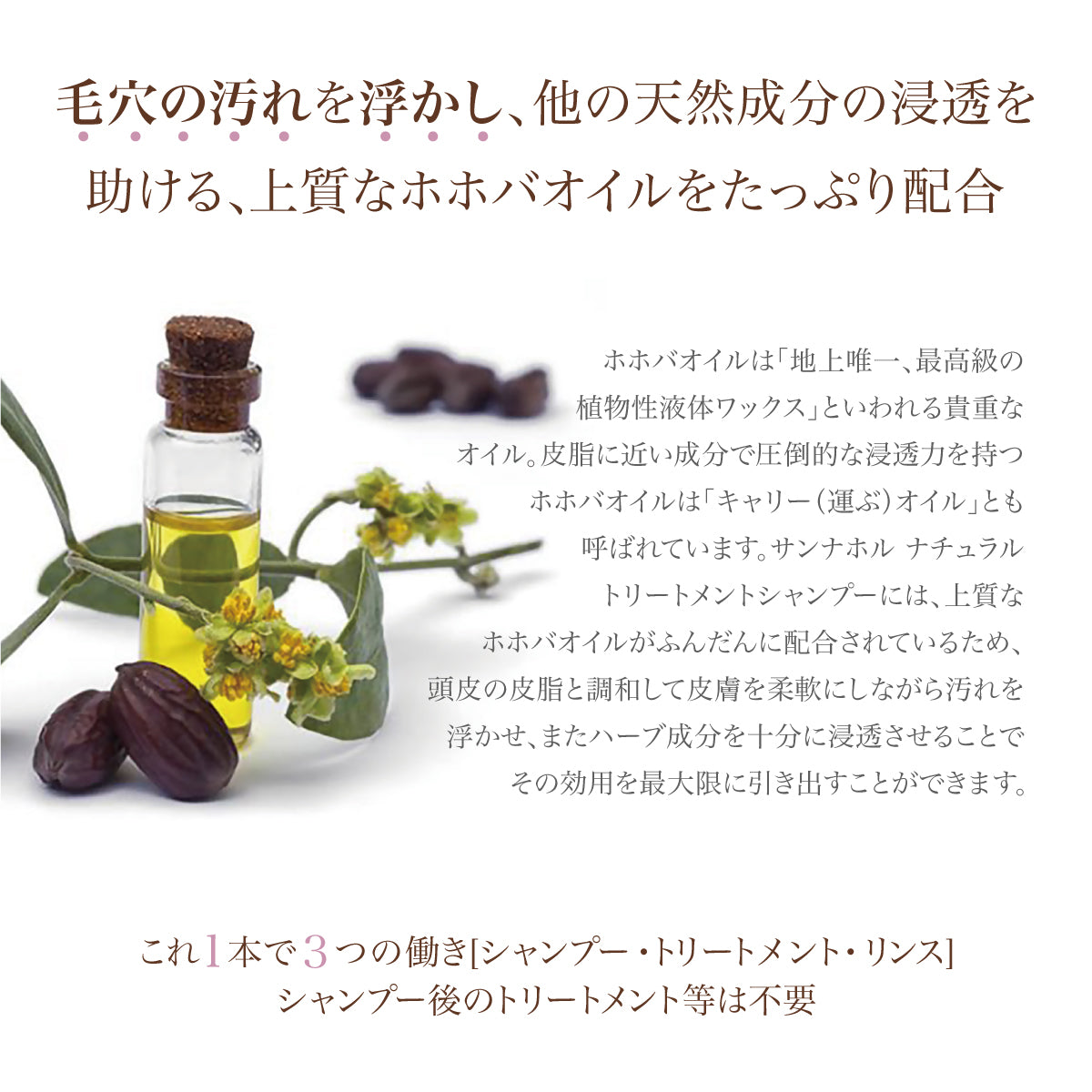 サンナホル サンナホルシャンプー - FVC株式会社